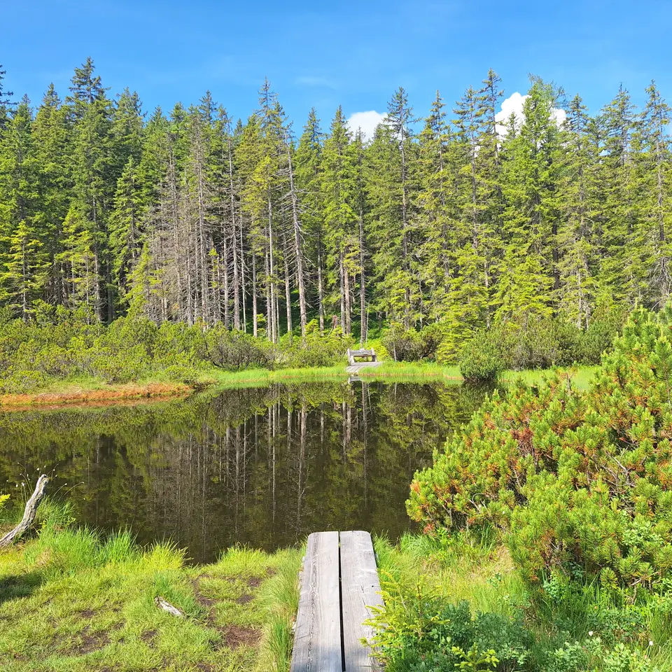 Sommerzeit bei der Scharzen Lacke in Filzmoos