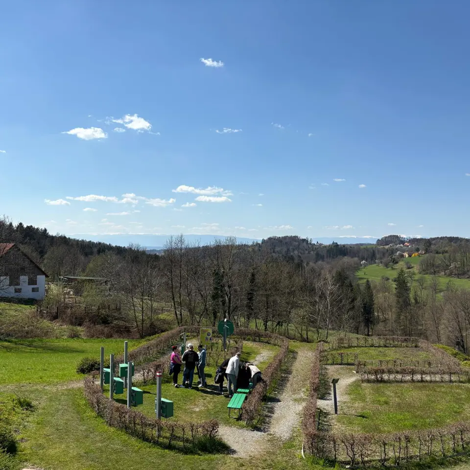 Teilnehmer beim Outdoor Teambuilding in Laßnitzhöhe