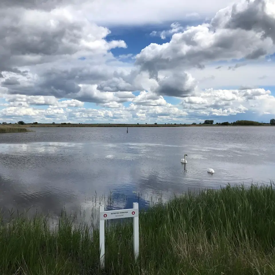 Ausblick über den Neusiedlersee als ideale Kulisse für ein Teambuilding im Burgenland